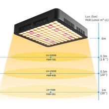 Panel de luz de cultivo led 1000W